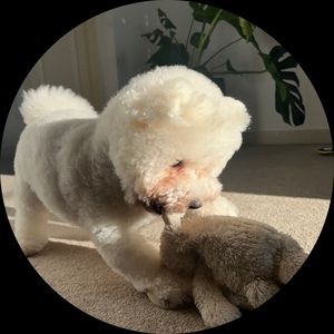 Meet your Posher, Jacob